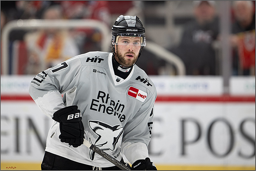 PENNY DEL 1; Düsseldorfer EG - Kölner Haie; Düsseldorf, 24.01.2025